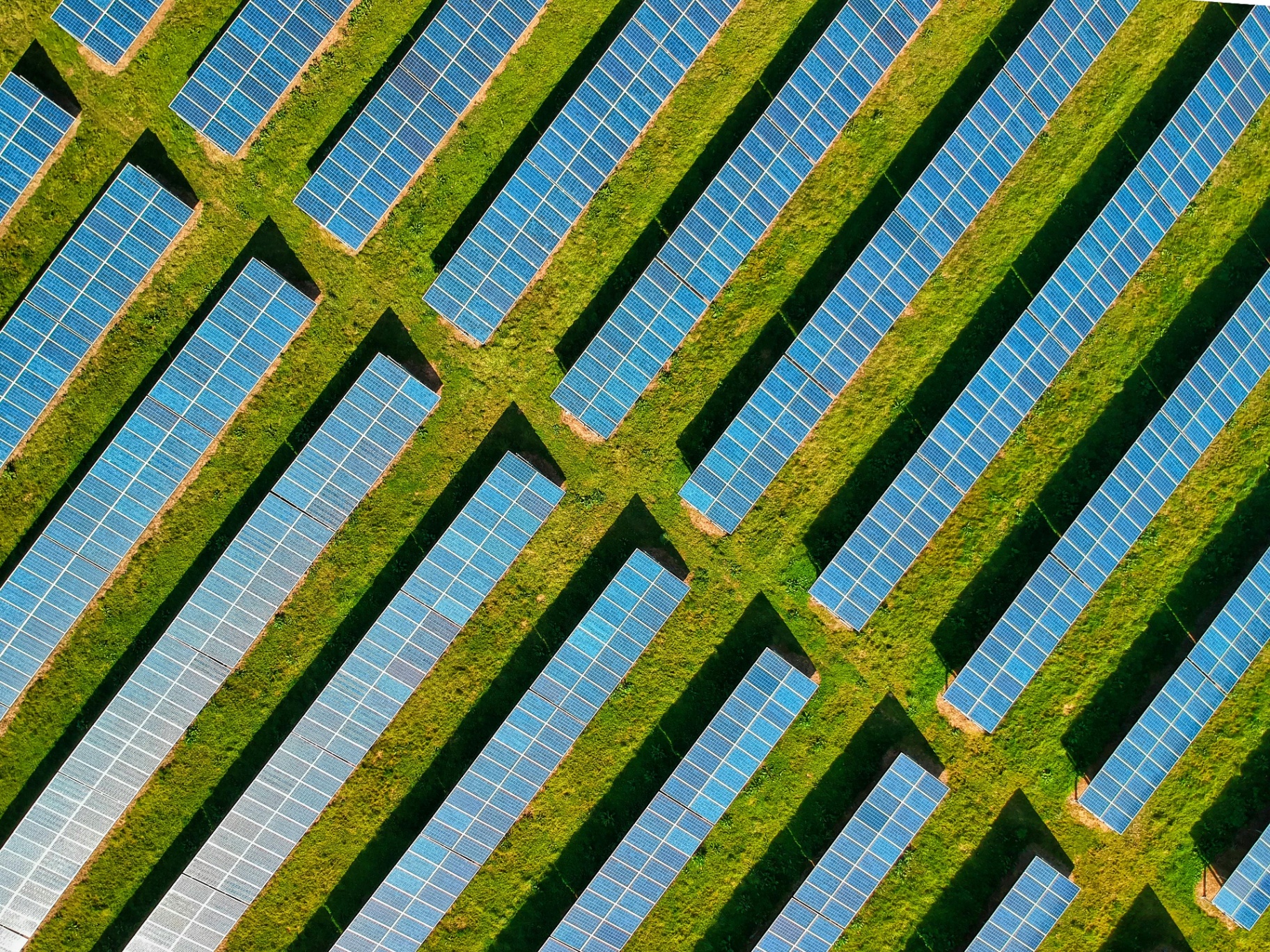 Progress Energy Services